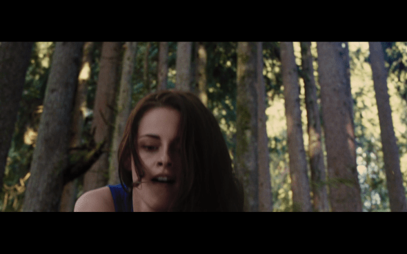 The Twilight Saga Breaking Dawn Part 2 - 204