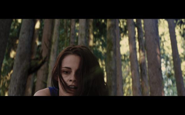 The Twilight Saga Breaking Dawn Part 2 - 205