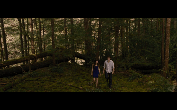 The Twilight Saga Breaking Dawn Part 2 - 214