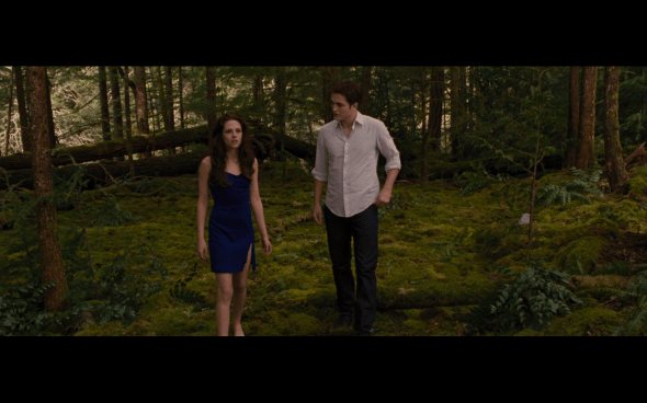 The Twilight Saga Breaking Dawn Part 2 - 215