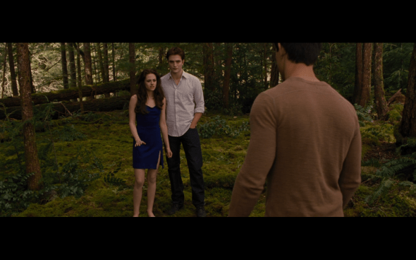 The Twilight Saga Breaking Dawn Part 2 - 222