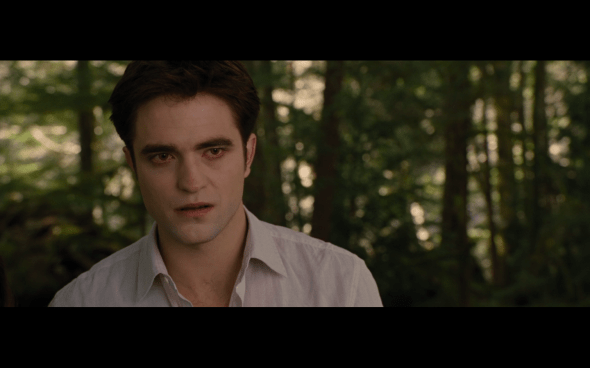 The Twilight Saga Breaking Dawn Part 2 - 228