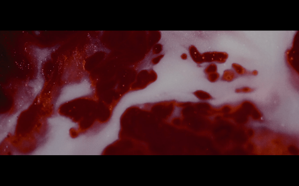 The Twilight Saga Breaking Dawn Part 2 - 23