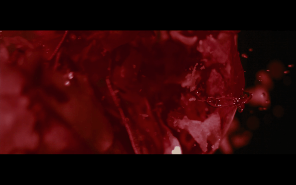 The Twilight Saga Breaking Dawn Part 2 - 24