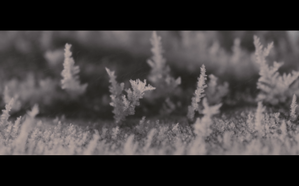 The Twilight Saga Breaking Dawn Part 2 - 29