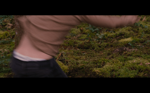 The Twilight Saga Breaking Dawn Part 2 - 298