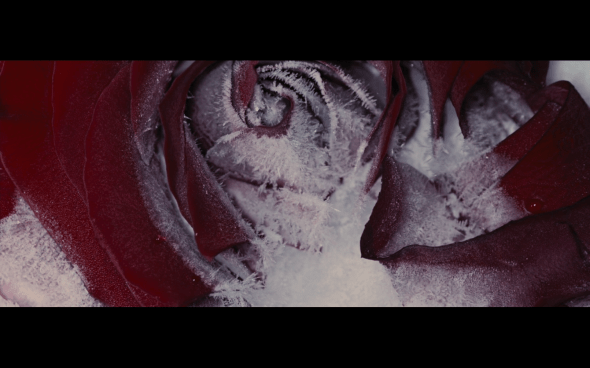 The Twilight Saga Breaking Dawn Part 2 - 30