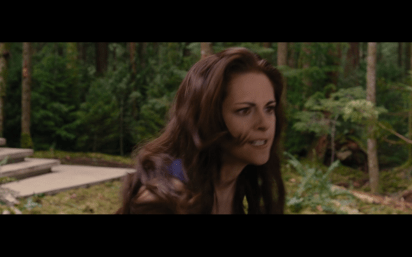 The Twilight Saga Breaking Dawn Part 2 - 309