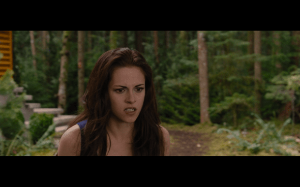 The Twilight Saga Breaking Dawn Part 2 - 313
