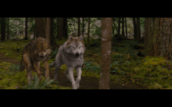 The Twilight Saga Breaking Dawn Part 2 - 314