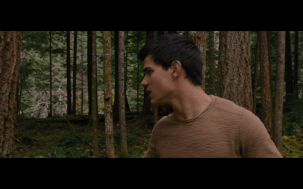 The Twilight Saga Breaking Dawn Part 2 - 315