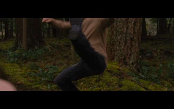 The Twilight Saga Breaking Dawn Part 2 - 319