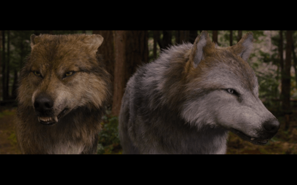 The Twilight Saga Breaking Dawn Part 2 - 320