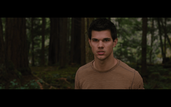 The Twilight Saga Breaking Dawn Part 2 - 329