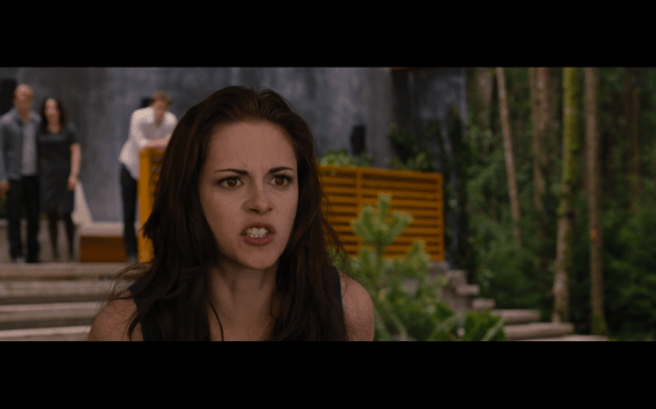 The Twilight Saga Breaking Dawn Part 2 - 331