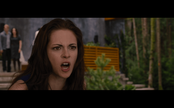 The Twilight Saga Breaking Dawn Part 2 - 332