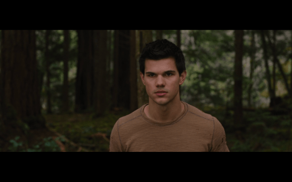 The Twilight Saga Breaking Dawn Part 2 - 333