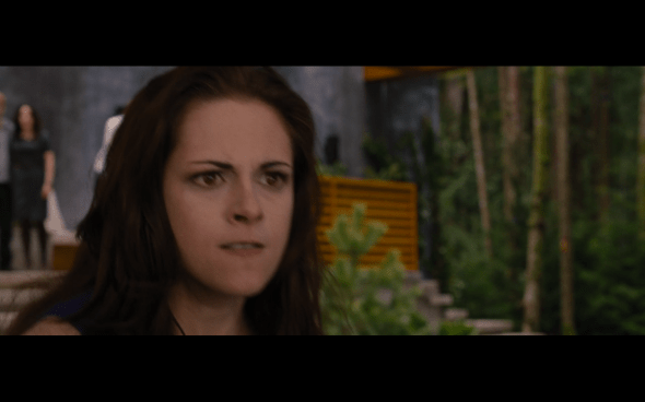 The Twilight Saga Breaking Dawn Part 2 - 334