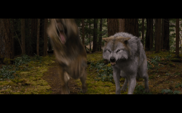The Twilight Saga Breaking Dawn Part 2 - 335