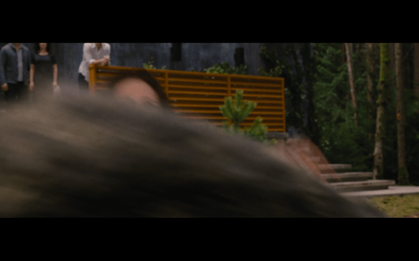 The Twilight Saga Breaking Dawn Part 2 - 337
