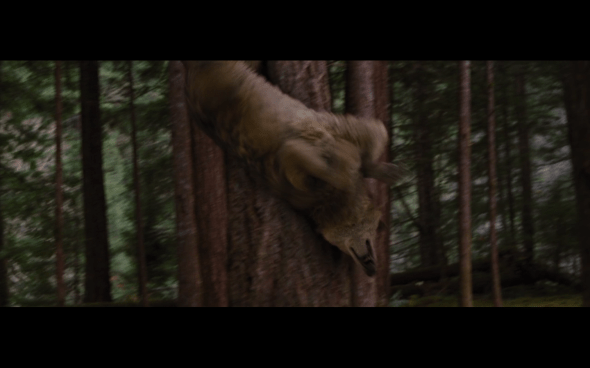 The Twilight Saga Breaking Dawn Part 2 - 339