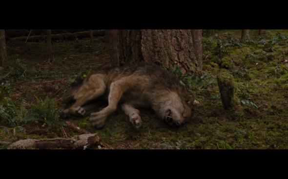 The Twilight Saga Breaking Dawn Part 2 - 340