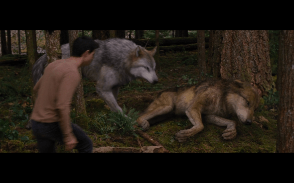 The Twilight Saga Breaking Dawn Part 2 - 342