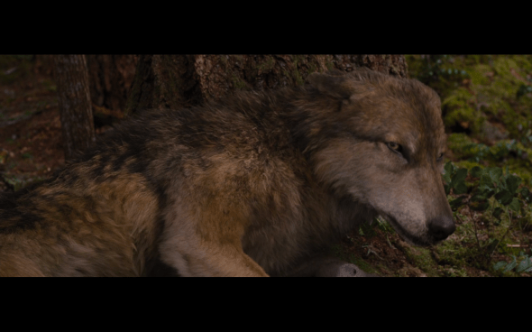 The Twilight Saga Breaking Dawn Part 2 - 343