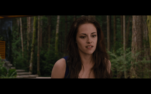 The Twilight Saga Breaking Dawn Part 2 - 345