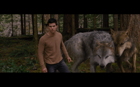 The Twilight Saga Breaking Dawn Part 2 - 347