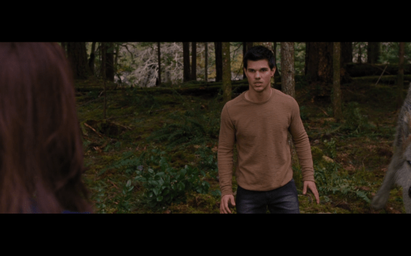 The Twilight Saga Breaking Dawn Part 2 - 348