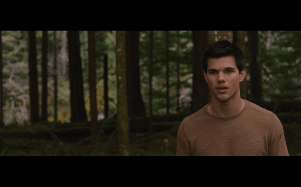 The Twilight Saga Breaking Dawn Part 2 - 350