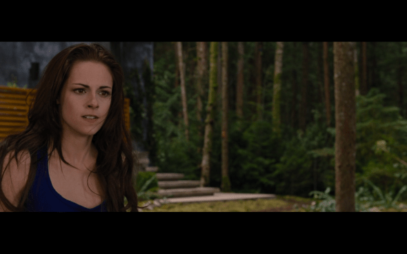 The Twilight Saga Breaking Dawn Part 2 - 351