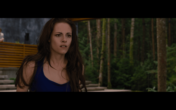 The Twilight Saga Breaking Dawn Part 2 - 353