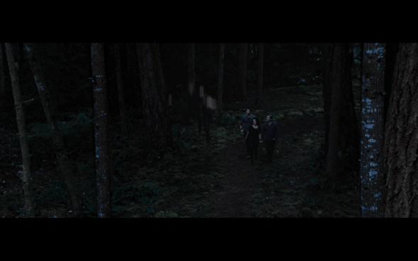 The Twilight Saga Breaking Dawn Part 2 - 362