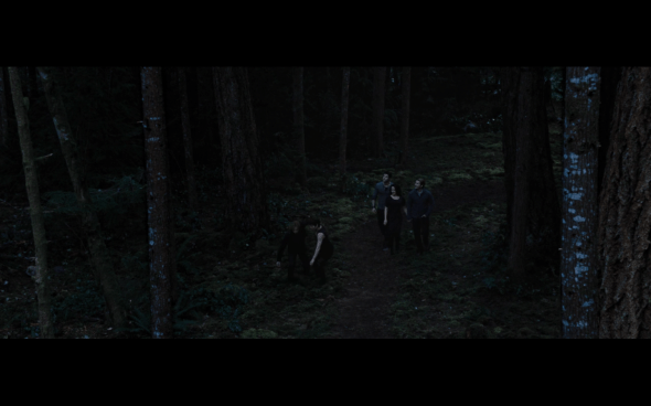 The Twilight Saga Breaking Dawn Part 2 - 363