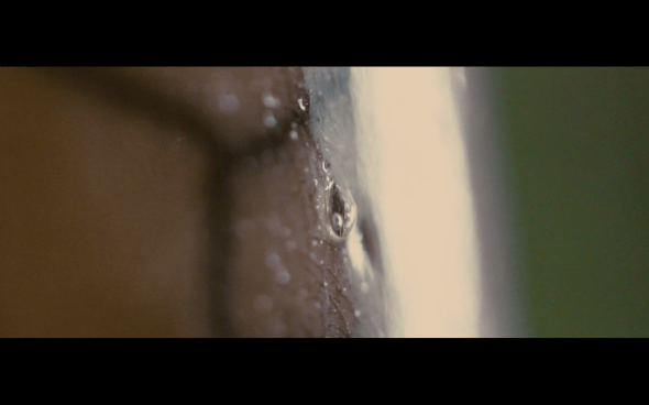 The Twilight Saga Breaking Dawn Part 2 - 42