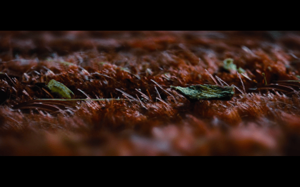 The Twilight Saga Breaking Dawn Part 2 - 48