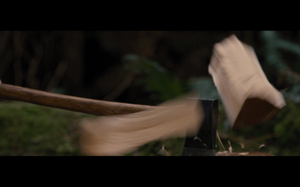 The Twilight Saga Breaking Dawn Part 2 - 488