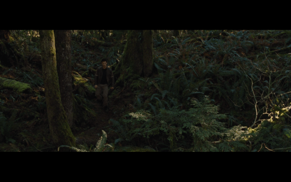 The Twilight Saga Breaking Dawn Part 2 - 489