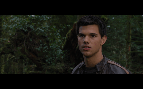 The Twilight Saga Breaking Dawn Part 2 - 497