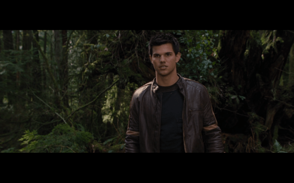 The Twilight Saga Breaking Dawn Part 2 - 498