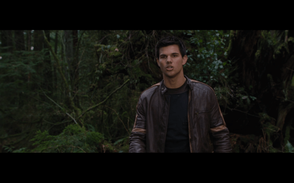 The Twilight Saga Breaking Dawn Part 2 - 500