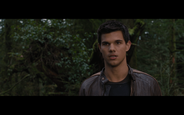 The Twilight Saga Breaking Dawn Part 2 - 502