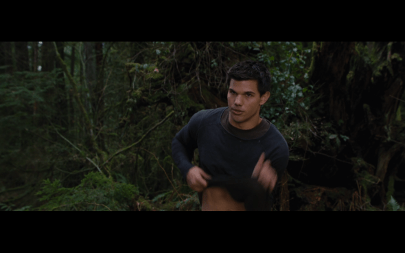 The Twilight Saga Breaking Dawn Part 2 - 510