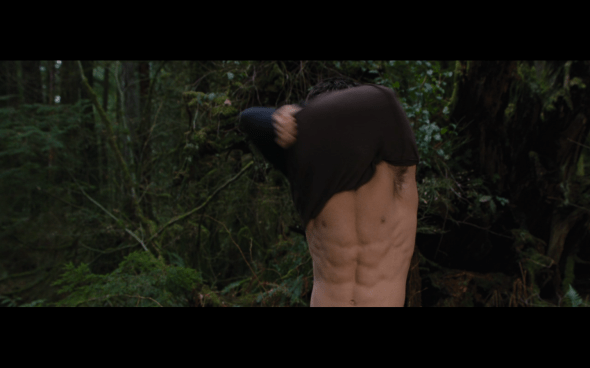 The Twilight Saga Breaking Dawn Part 2 - 511