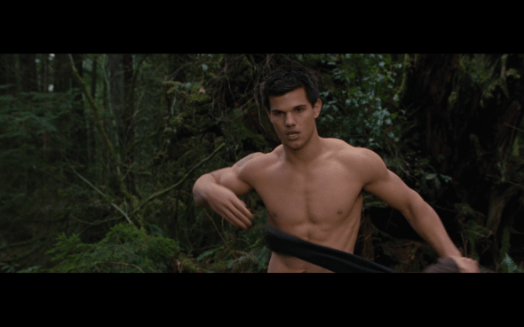 The Twilight Saga Breaking Dawn Part 2 - 513
