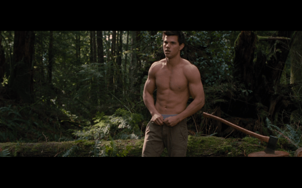 The Twilight Saga Breaking Dawn Part 2 - 515