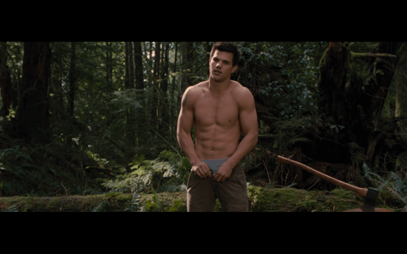 The Twilight Saga Breaking Dawn Part 2 - 516