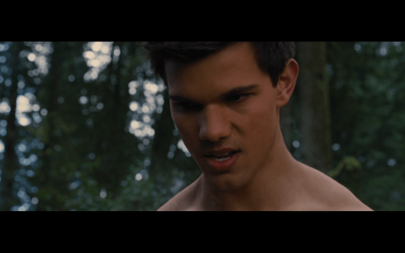 The Twilight Saga Breaking Dawn Part 2 - 521